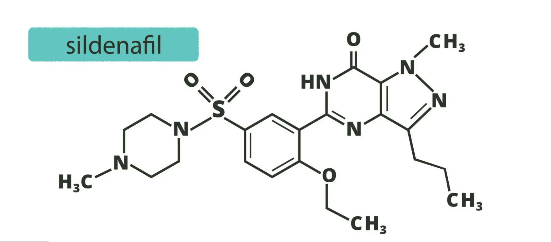 口溶片溶解示意圖