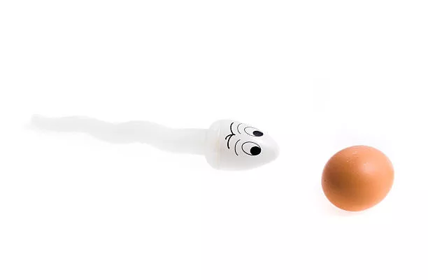 犀利士與生育能力研究
